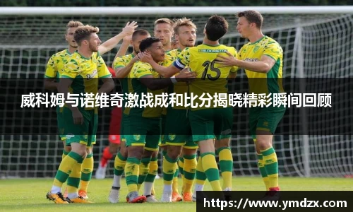 tyc151cc太阳成