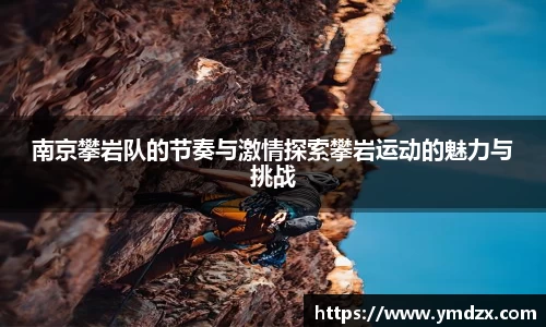 乐虎lehu官方网站